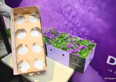 De nieuwe doos van Ten Have Plant.
